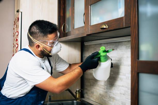 Best Affordable Pest Control Services  in Pacific Grove, CA