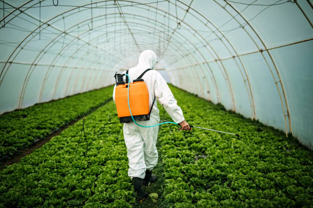 Best Pest Prevention Services  in Pacific Grove, CA