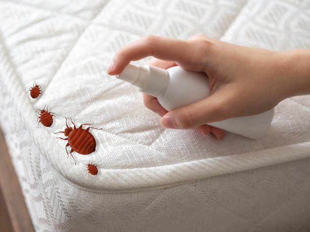 Best Cockroach Control Services  in Pacific Grove, CA