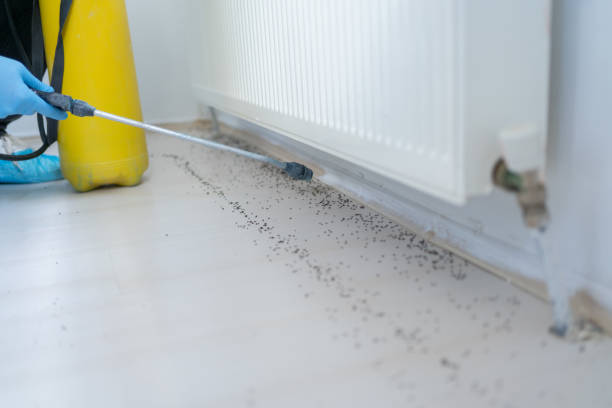 Best Local Pest Control Services  in Pacific Grove, CA