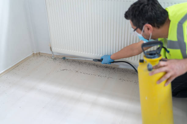Best Affordable Pest Control Services  in Pacific Grove, CA